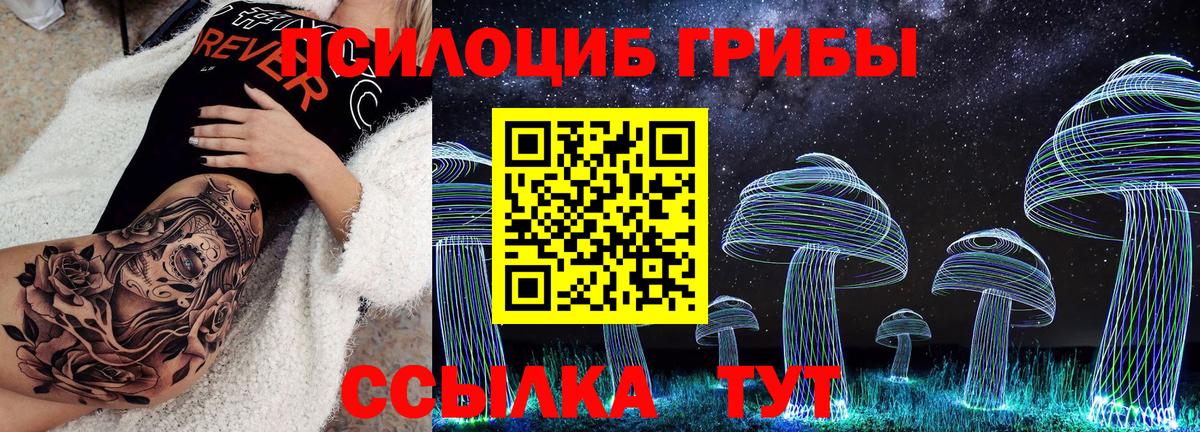 Галлюциногенные грибы мухоморы Михайловка